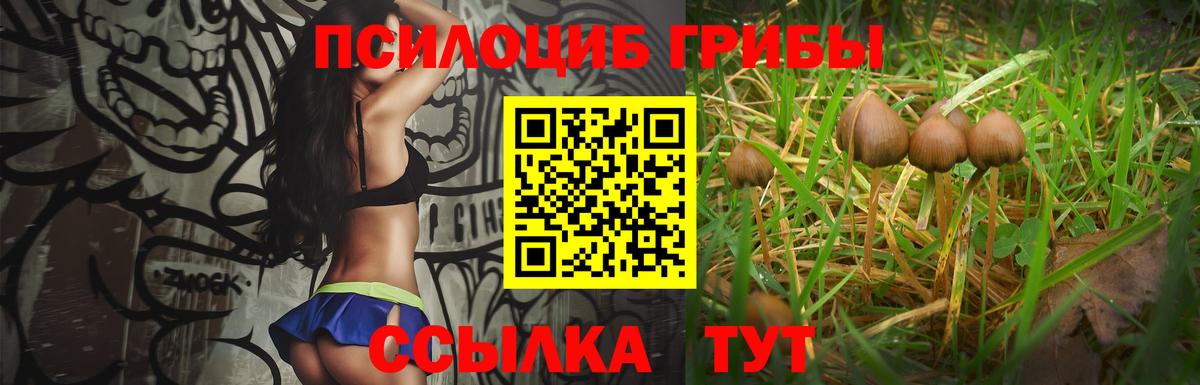 Верхняя Пышма  Галлюциногенные грибы ЛСД  Вход с VPN  Галлюциногенные грибы Psilocybe 
