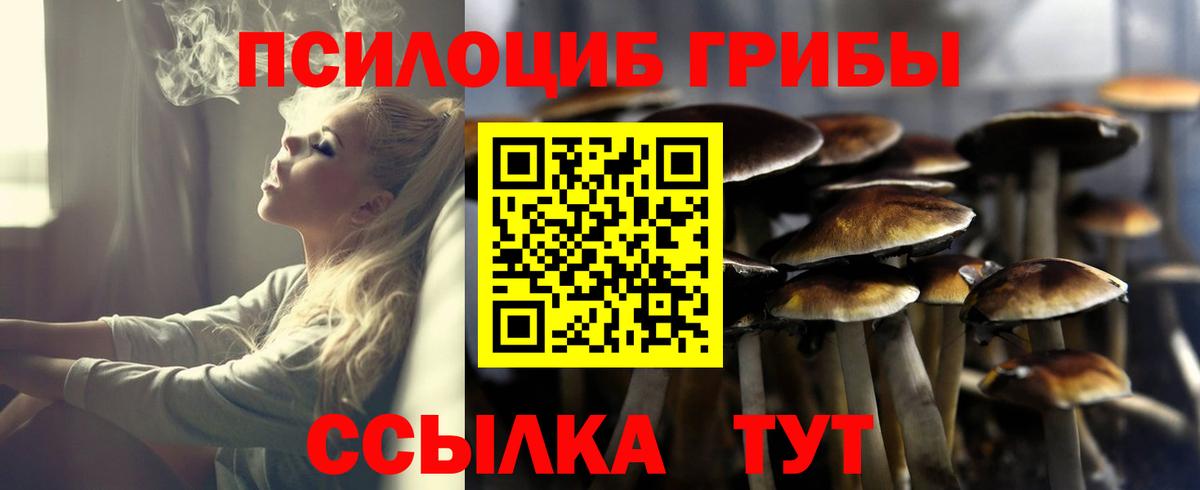Галлюциногенные грибы Psilocybine cubensis Верхняя Пышма